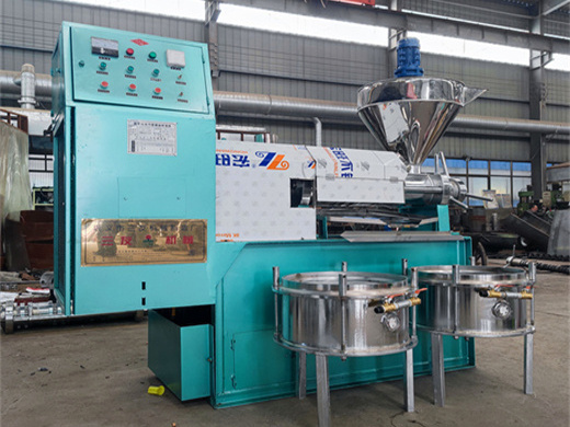 50t/d soybean solvent extraction machine solvent extractor