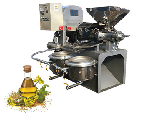 palm kernel oil extraction machine manufacturers