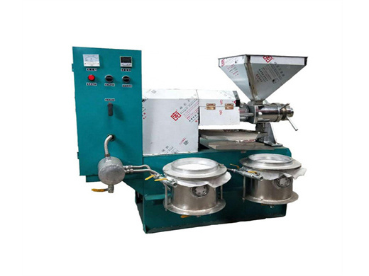 electric mini oil press machine/palm oil processing machine in kenya | palm oil production line