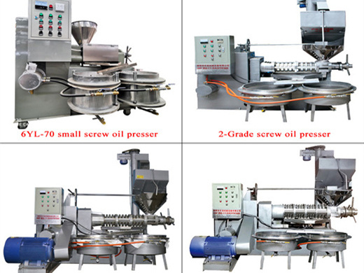 soybean oil extraction machine cold press dl-zyj05c namibia