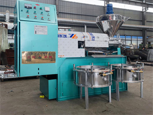 palm oil mill processing machines - palm oil mill machine