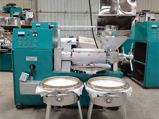 factory price algae oil press and automatic oil processing line on sale