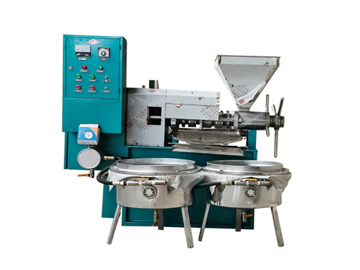 peanut oil making machines for sale|best manufacturer and