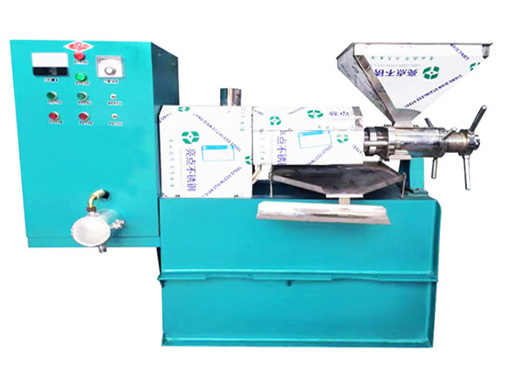 ethiopia cheap groundnut oil extraction machine