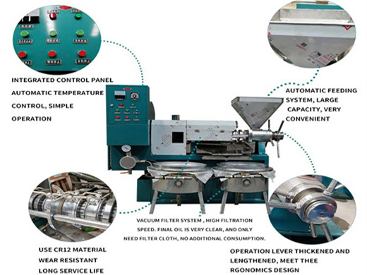 soybean automatic used oil cold press machine sale