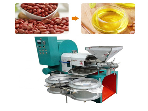 chinese commercial cold press palm oil production machine