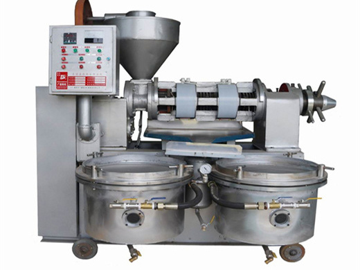 2023 hot sale oil press machine cotton seed oil press