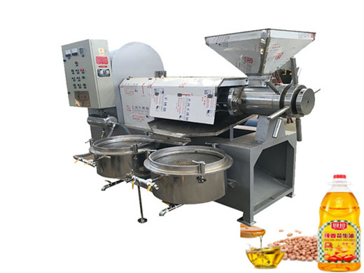 niger palm kernel oil press machine soya bean