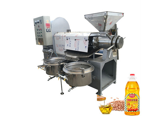 small scale crude red palm oil refining machine