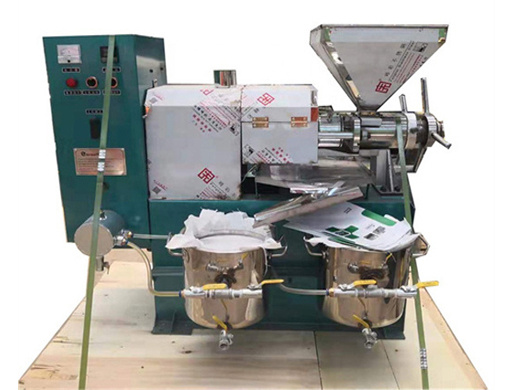 150-200kg/hour seed oil extraction machine oil press