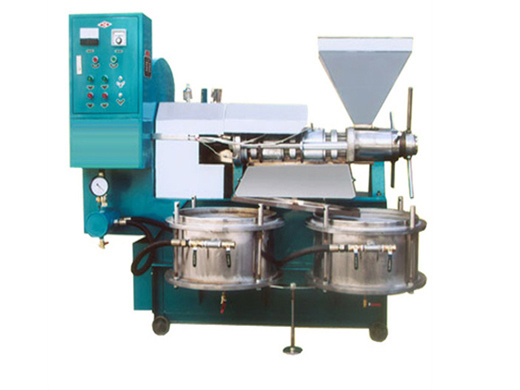 cold and hot two models automatic walnut oil press machine