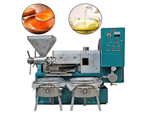 best seller factory price professional oil press 