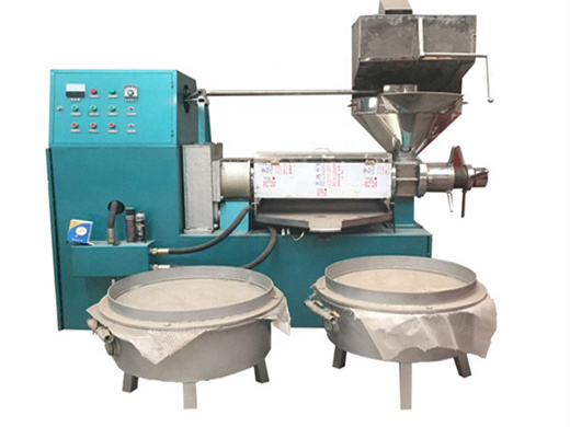 china automatic sunflowe oil press machine - china