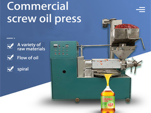 automatic oil press hot sale safflower seed oil press