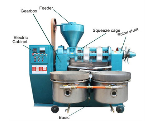 production technology of soybean screw oil press machine