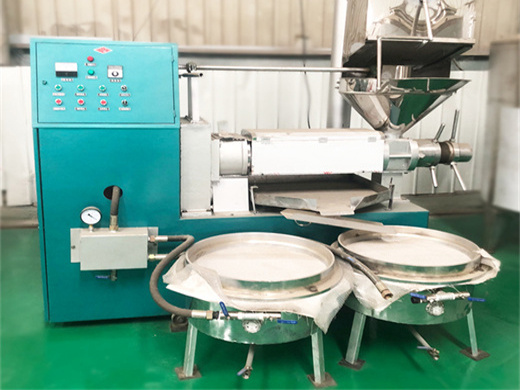 baoshishan automatic oil press machine oil extractor