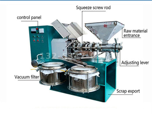 best quality ce approved china palm kernel oil press