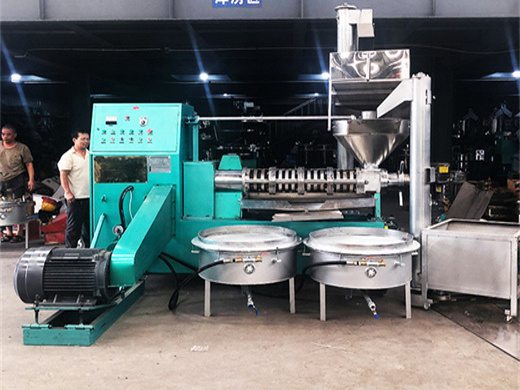 palm oil extraction machine oil machine oil press machine