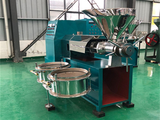 peanut oil processing machine - edible oil extraction