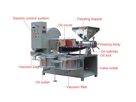 ce marking high efficiency palm kernel oil press machine