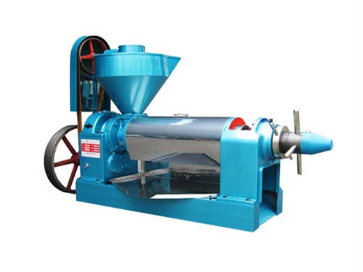 big automatic press hydraulic oil press machine for walnut