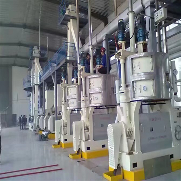 automatic screw oil press machine rice bran oil processing