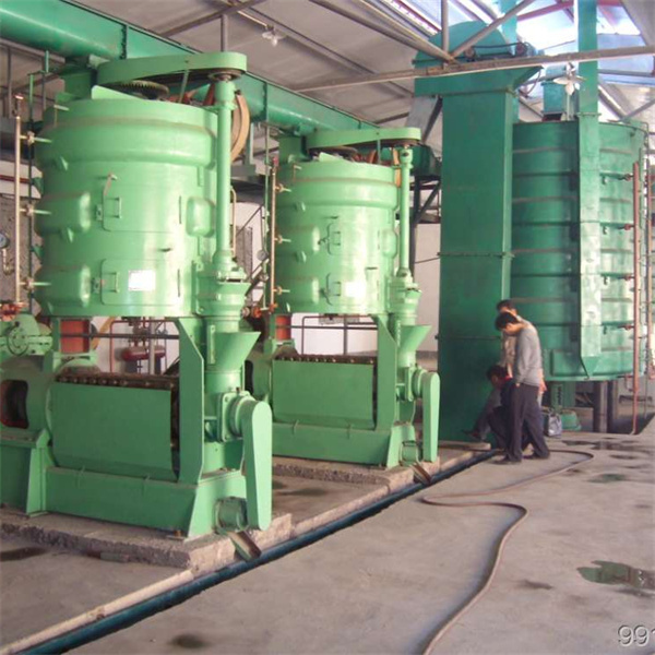 cottonseed oil extraction plant | screw oil press machine, automatic integrated oil press