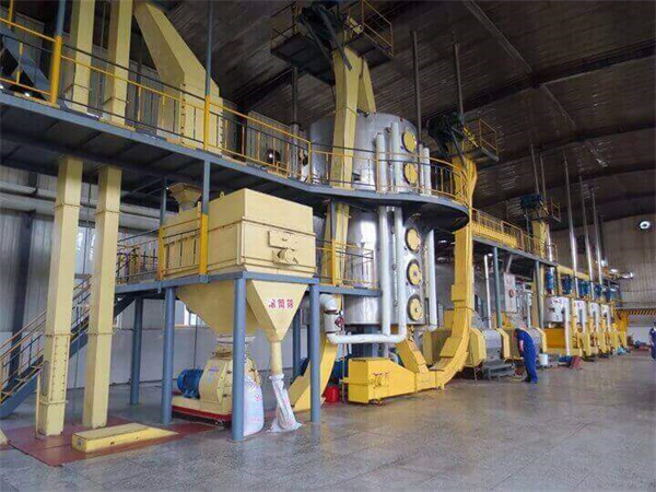 ethiopia palm oil mill screw press machine