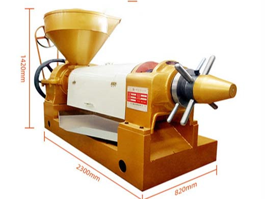 6yl -100 automatic pumpkin seed oil production