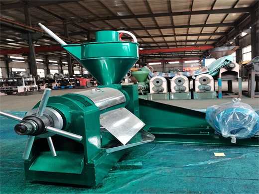 china supplier screw palm oil press machine in kenya