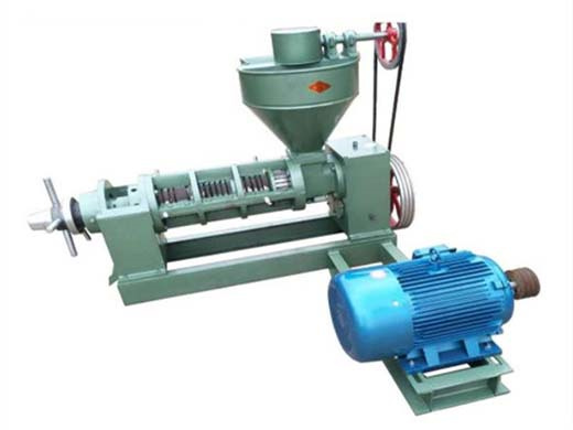 setup small scale palm kernel oil processing mill business