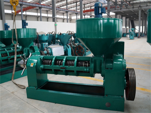 attractive 1000tpd sunflower oil mill machinery