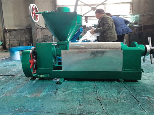 small castor oil extraction machine ordered by