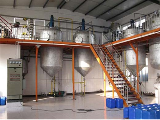 high quality automatic corn germ oil press machine uzbekistan | supply best oil press machine and oil production line