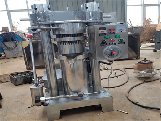 screw cold press palm kernel sunflower seed oil extraction machine in ghana | palm oil production line