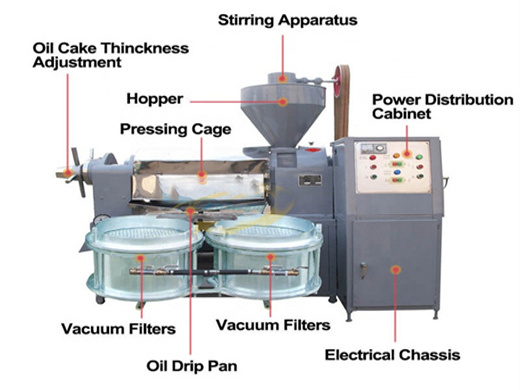 start you own small edible oil processing plant with the help of our machinery!