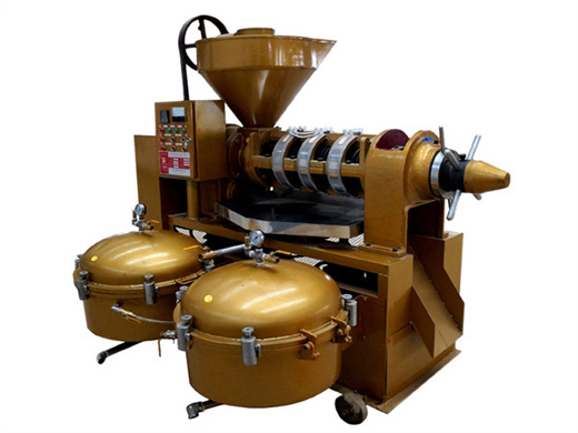 automatic combined cold palm oil press machine