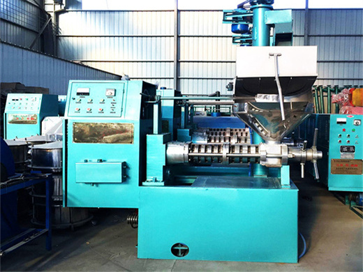 china supplier oil cold press machine machines to process palm oil in sri lanka | palm oil production line