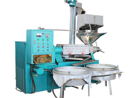 ethiopia cold-pressed palm oil extraction machine