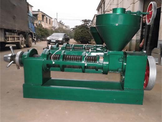 sunflower seed oil press extractor palm kernel oil